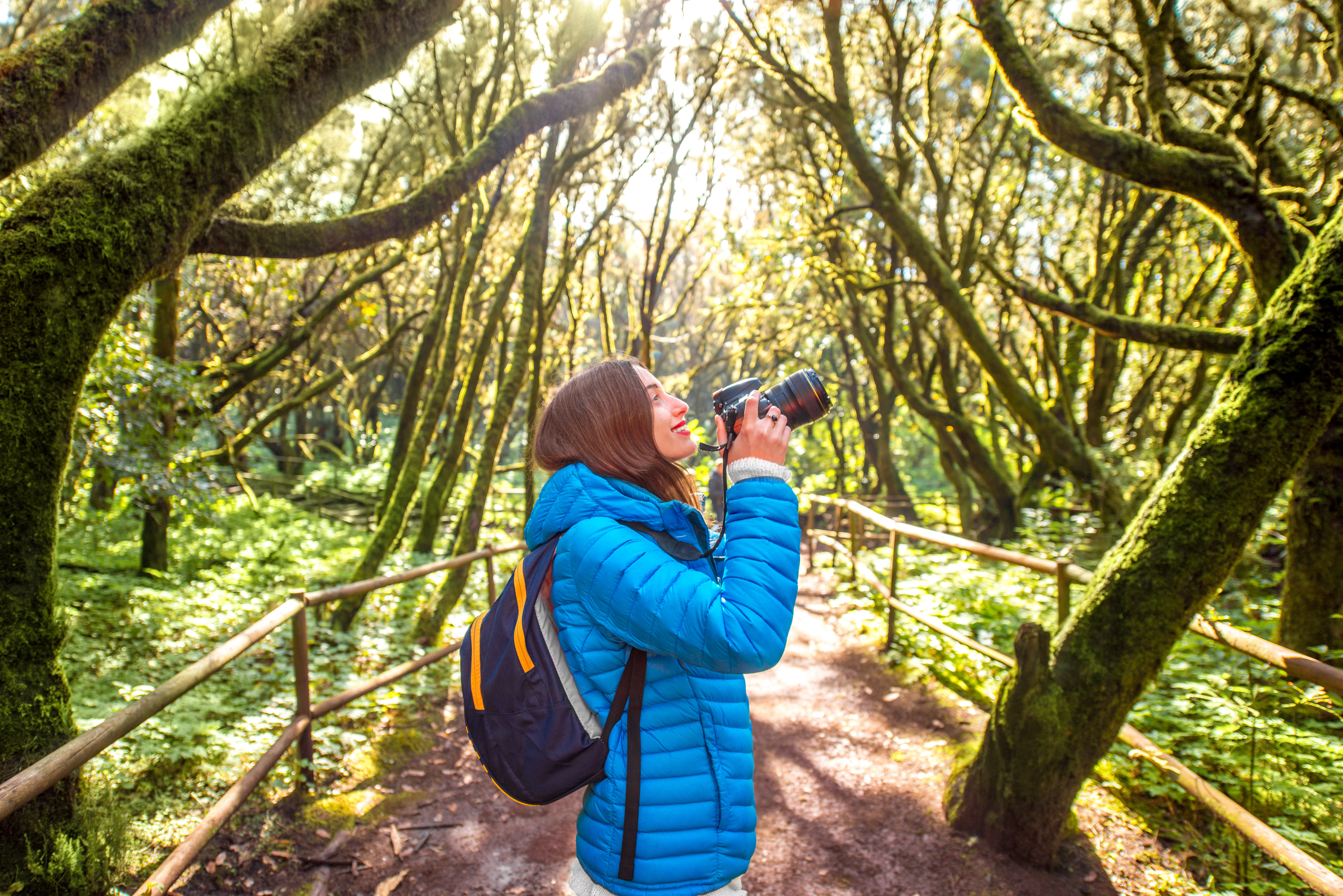 woman-traveling-evergreen-forest-2022-05-18-06-20-35-utc